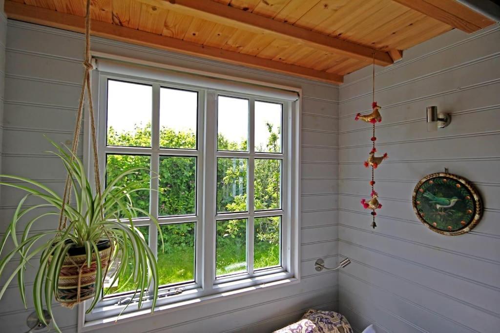 Tiny House On Isolated Farm By The Cornish Coast Vila Bude Exterior foto
